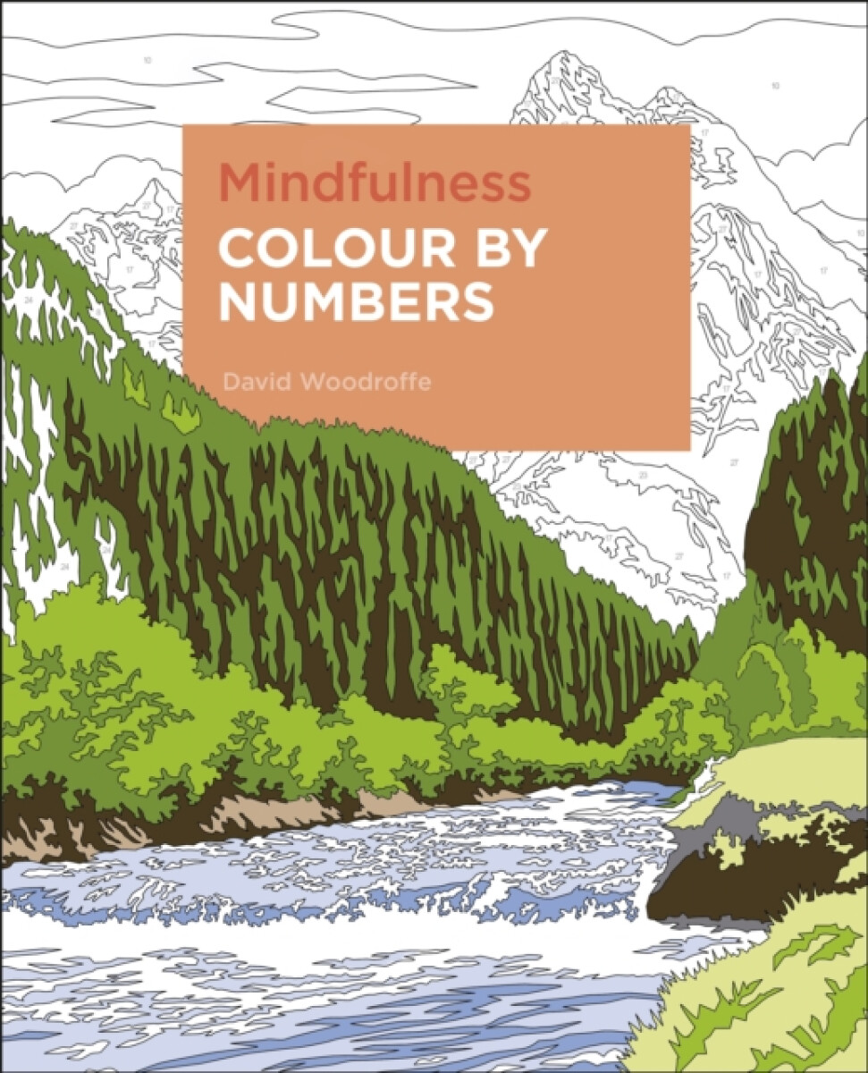 Kniha Mindfulness Colour by Numbers