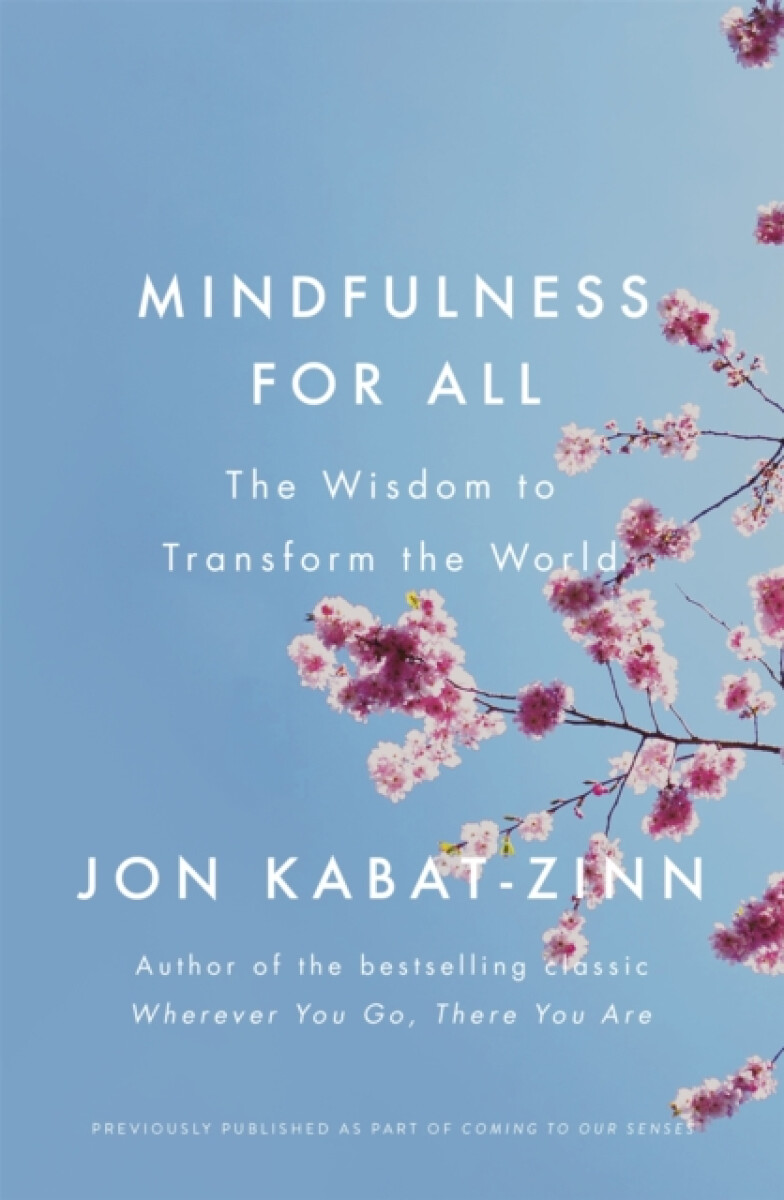 Kniha Mindfulness for All