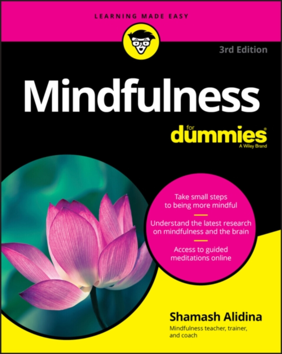 Kniha Mindfulness For Dummies