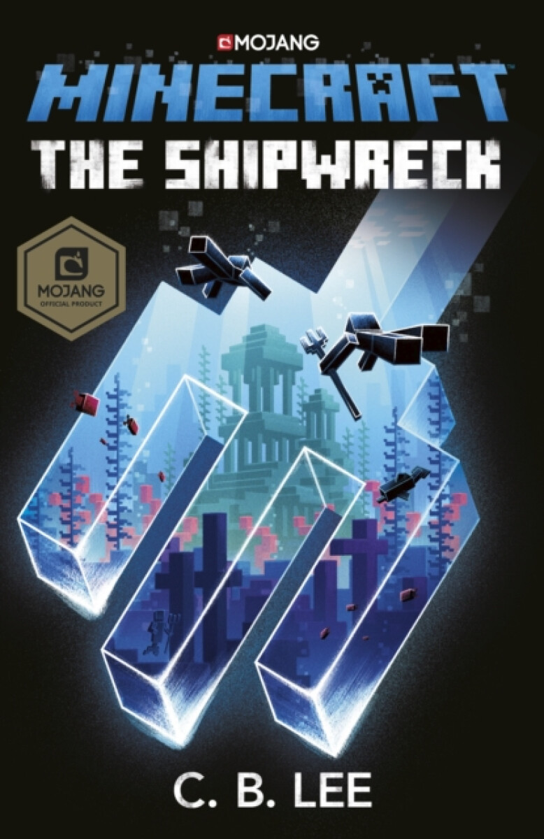 Kniha Minecraft: The Shipwreck