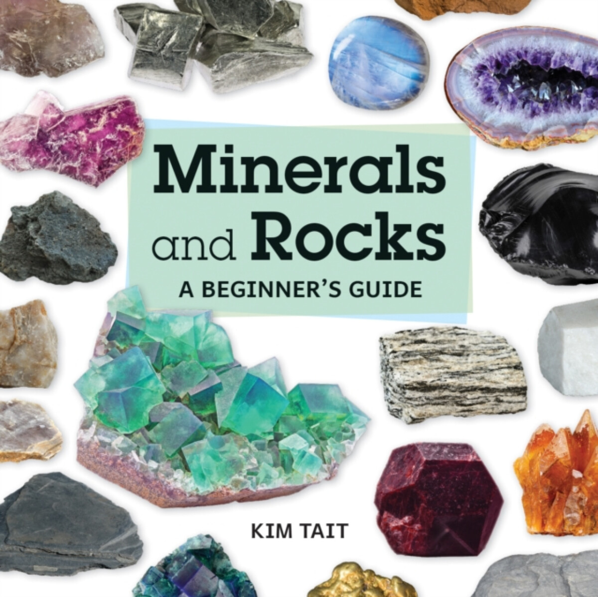 Kniha Minerals and Rocks