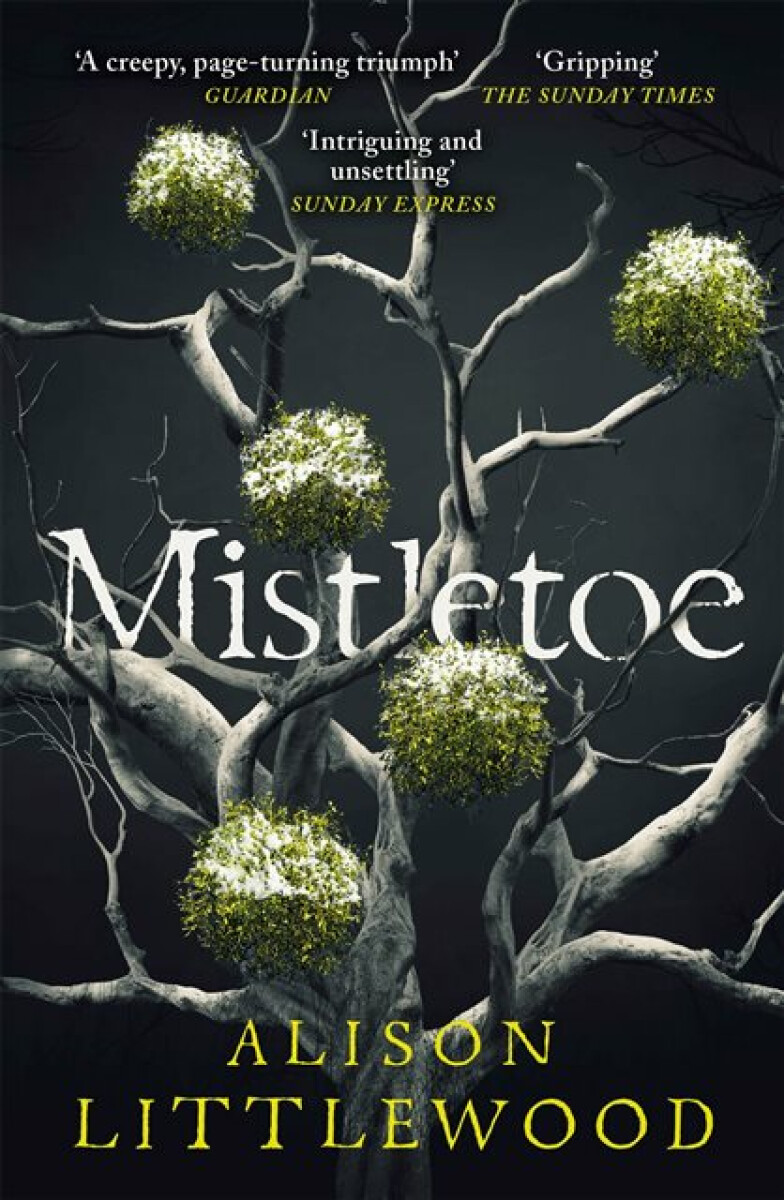 Kniha Mistletoe