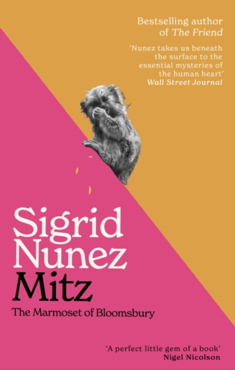 Kniha Mitz
