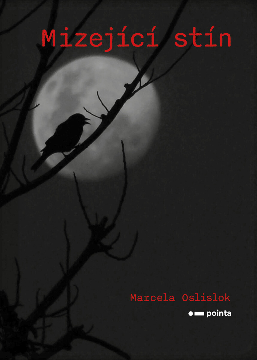 Mizející stín - Marcela Oslislok