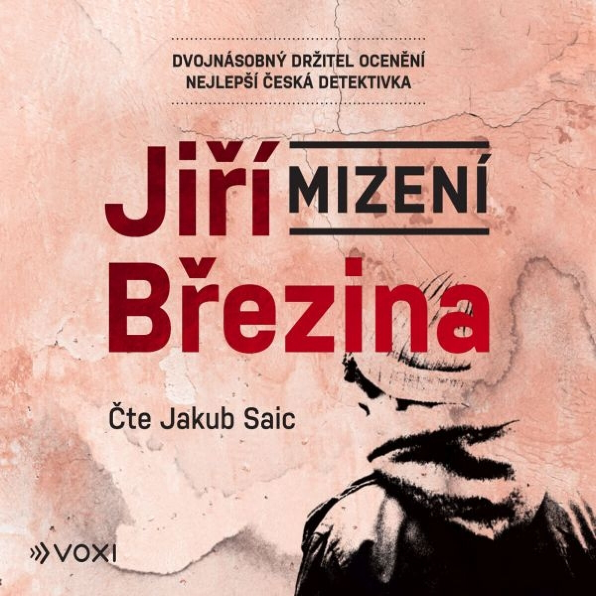 Levně Mizení - Jiří Březina - audiokniha