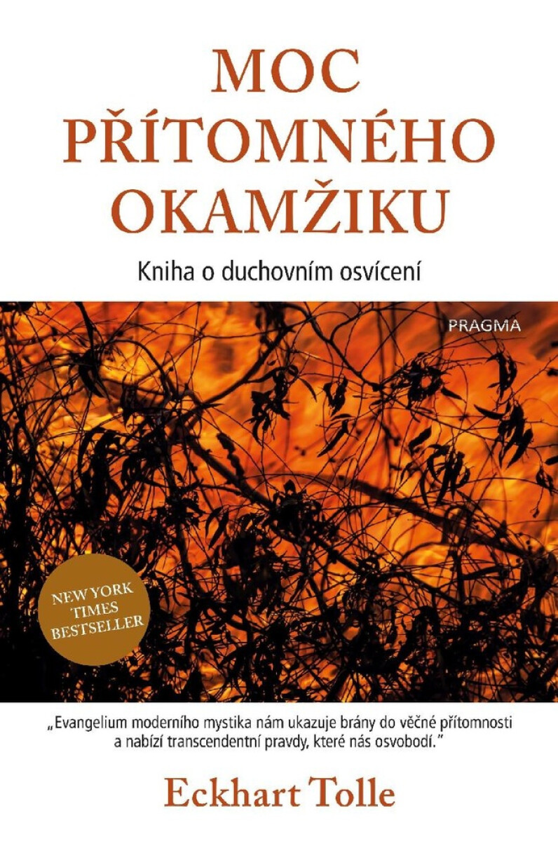 Levně Moc přítomného okamžiku - Eckhart Tolle