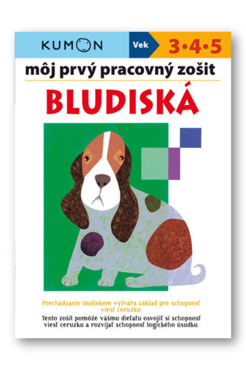 Kniha Môj prvý pracovný zošit Bludiská