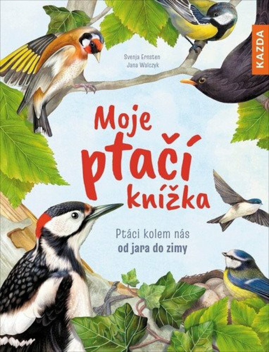 Kniha Moje ptačí knížka - Ptáci kolem nás