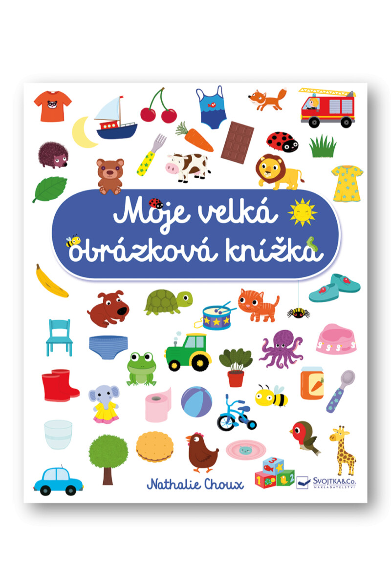 Kniha Moje velká obrázková knížka