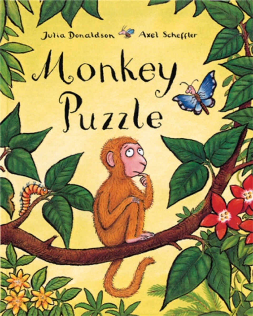 Kniha Monkey Puzzle Big Book