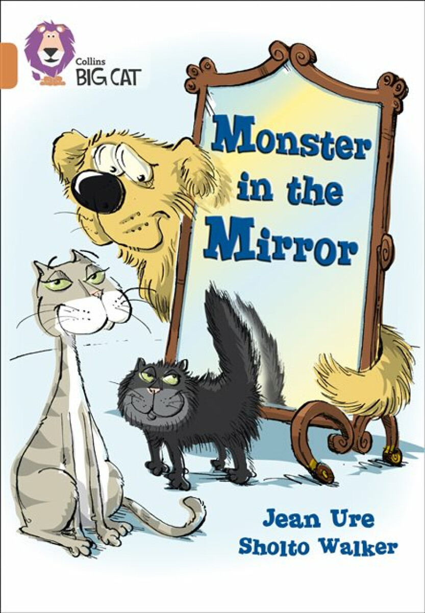 Kniha Monster in the Mirror