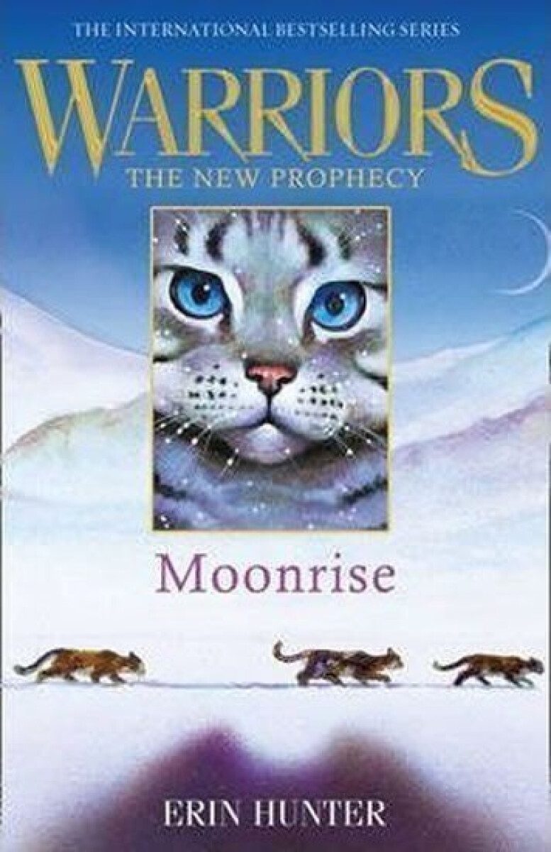 Kniha MOONRISE