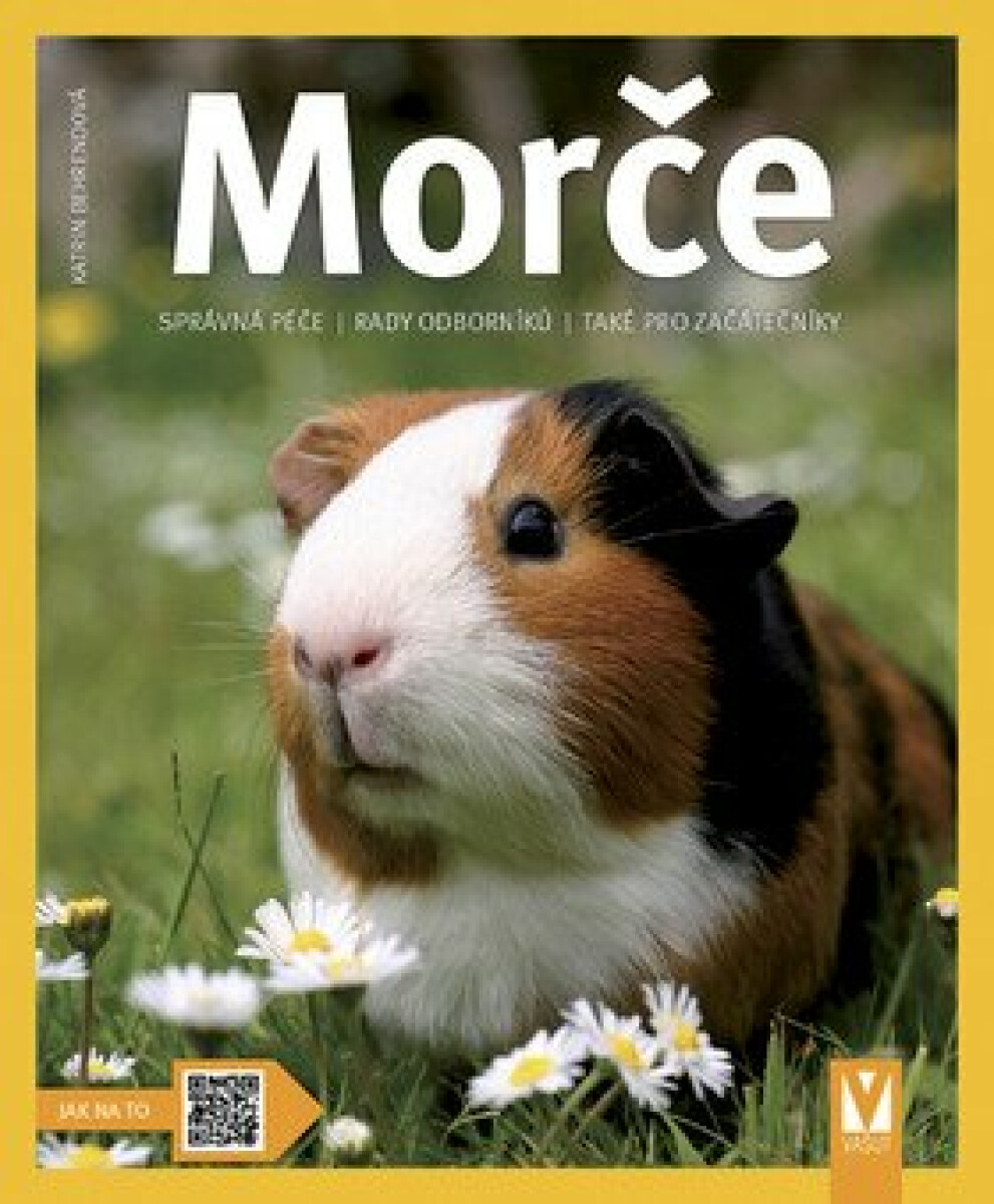 Kniha Morče - Správná péče, rady odborníka...