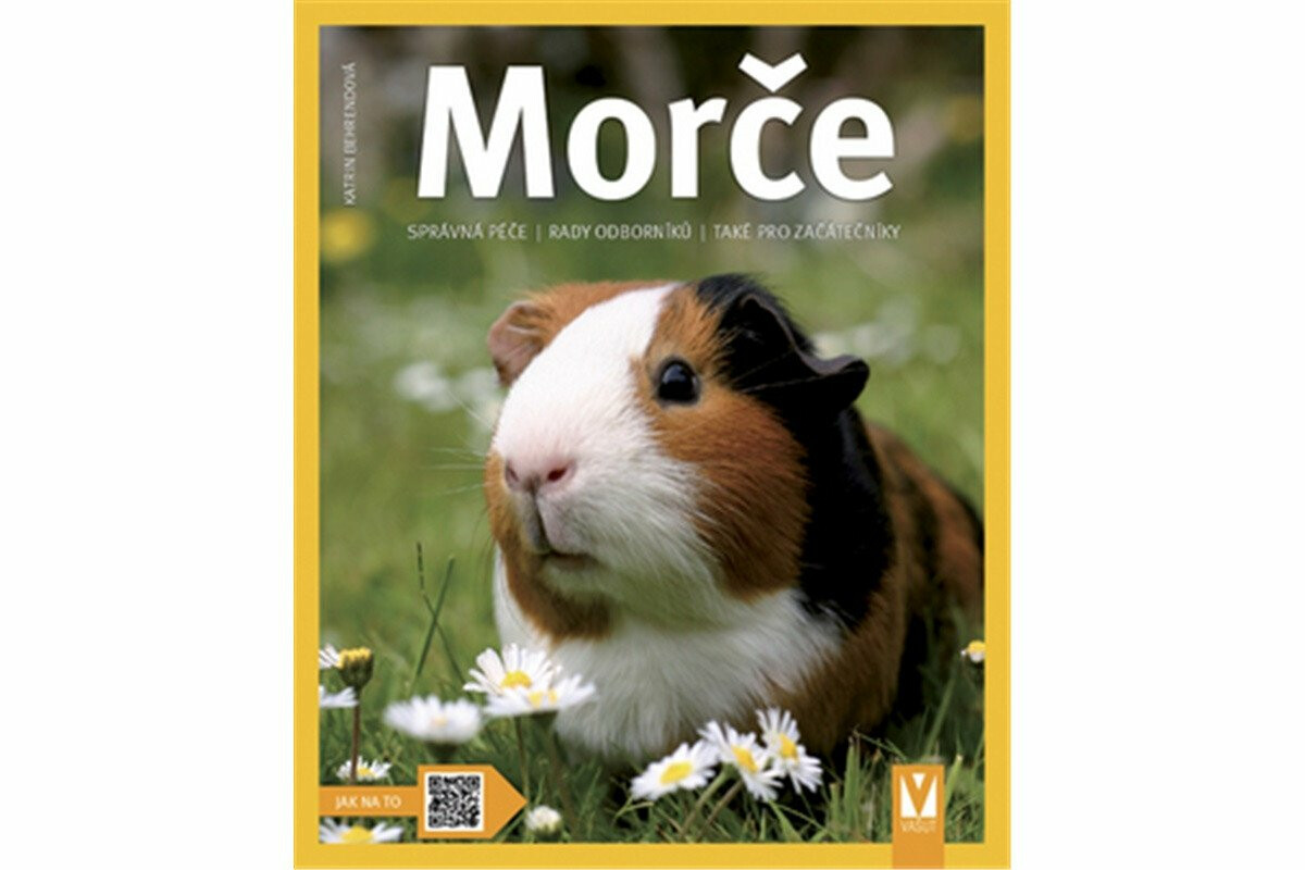 Kniha Morče - Správná péče, rady odborníka...