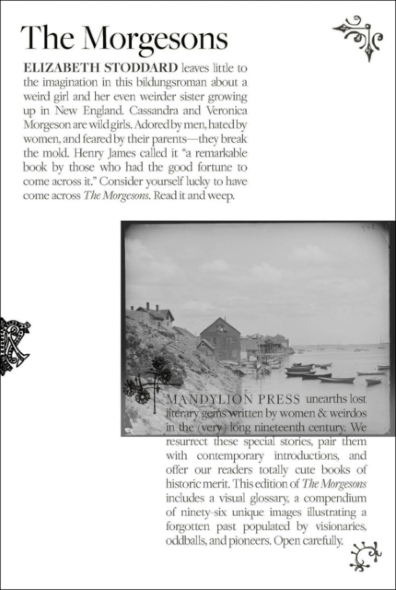 Kniha Morgesons, the