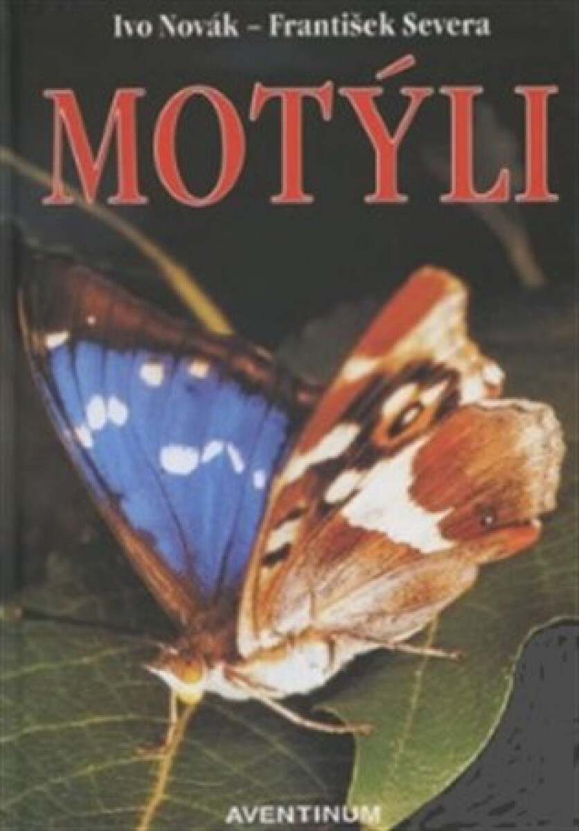 Kniha Motýli