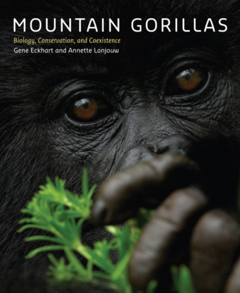 Kniha Mountain Gorillas