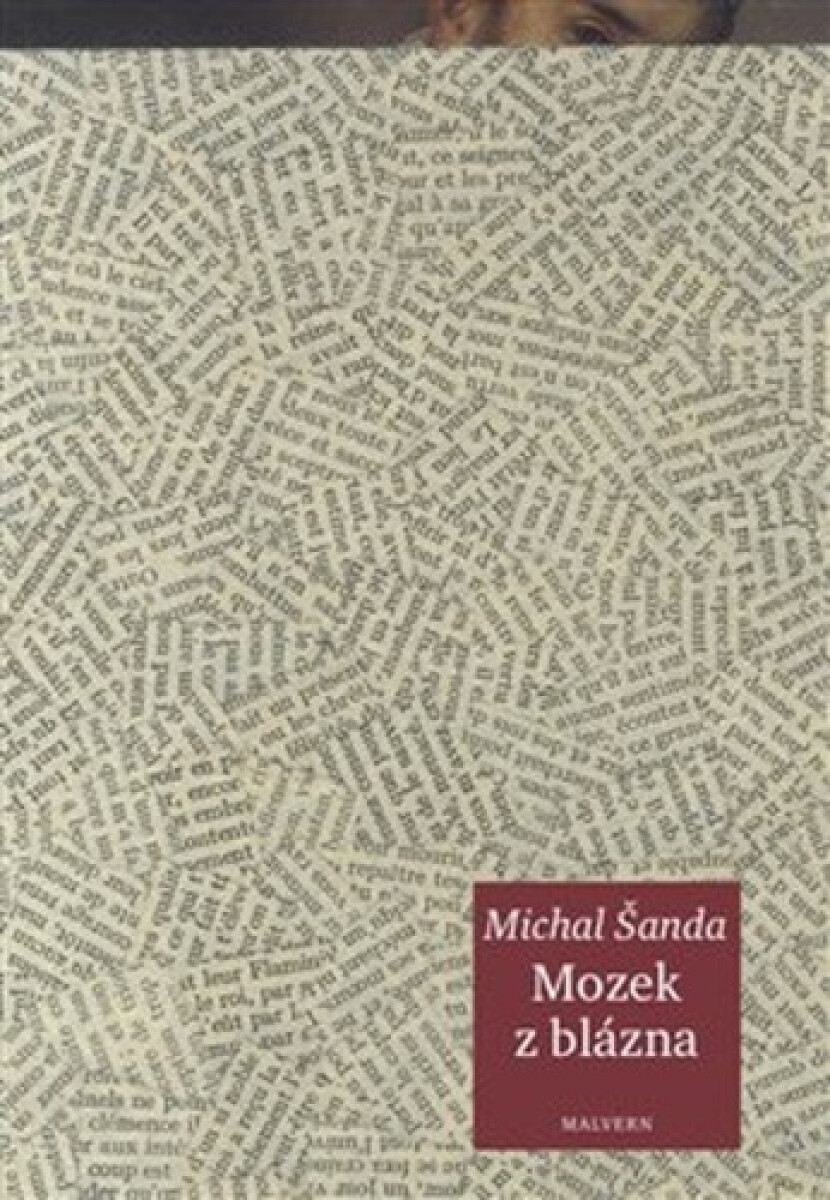 Kniha Mozek z blázna