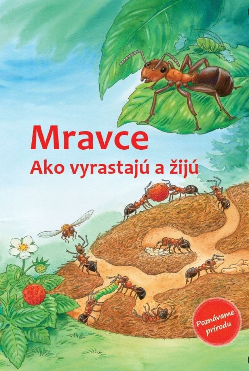 Kniha Mravce