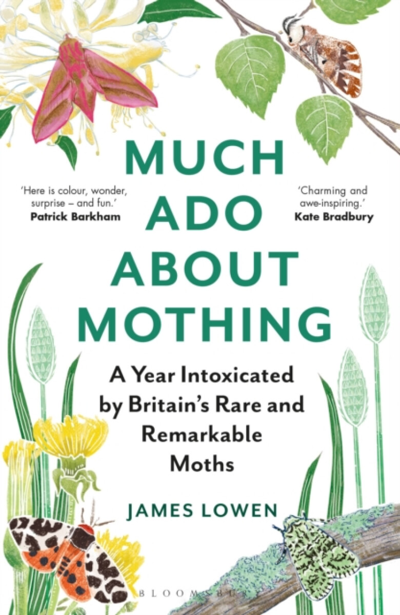 Kniha Much Ado About Mothing