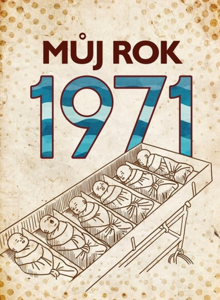 Kniha Můj rok 1971