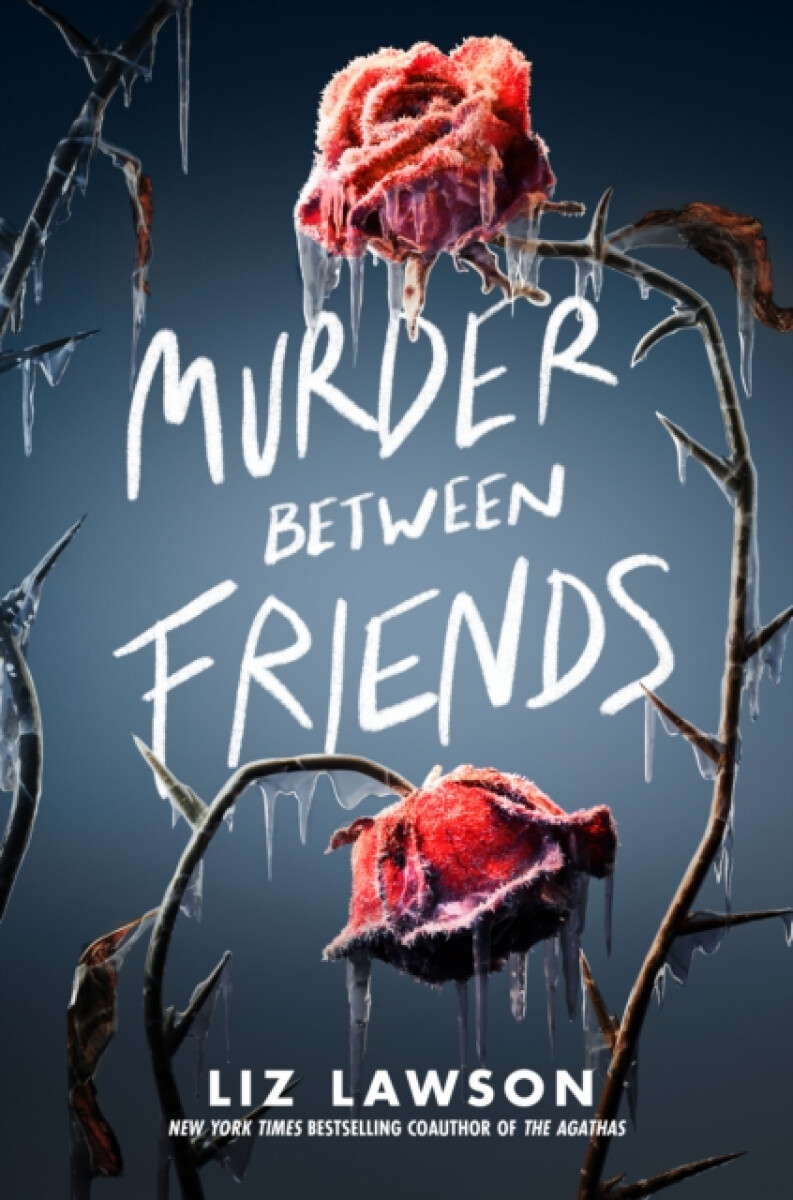 Kniha Murder Between Friends