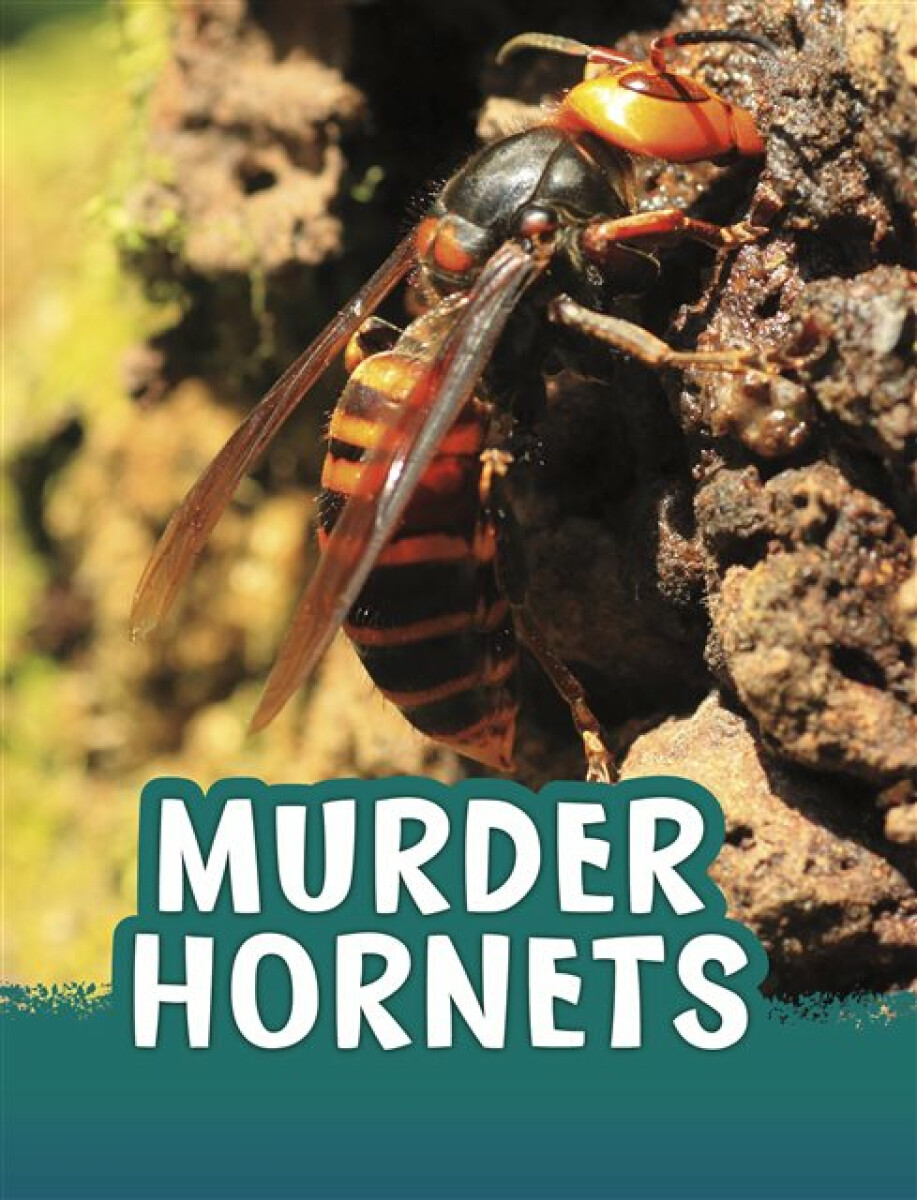 Kniha Murder Hornets