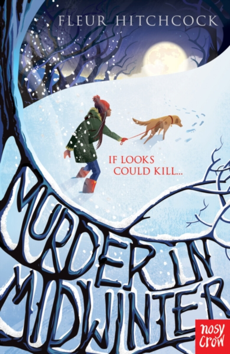 Kniha Murder In Midwinter