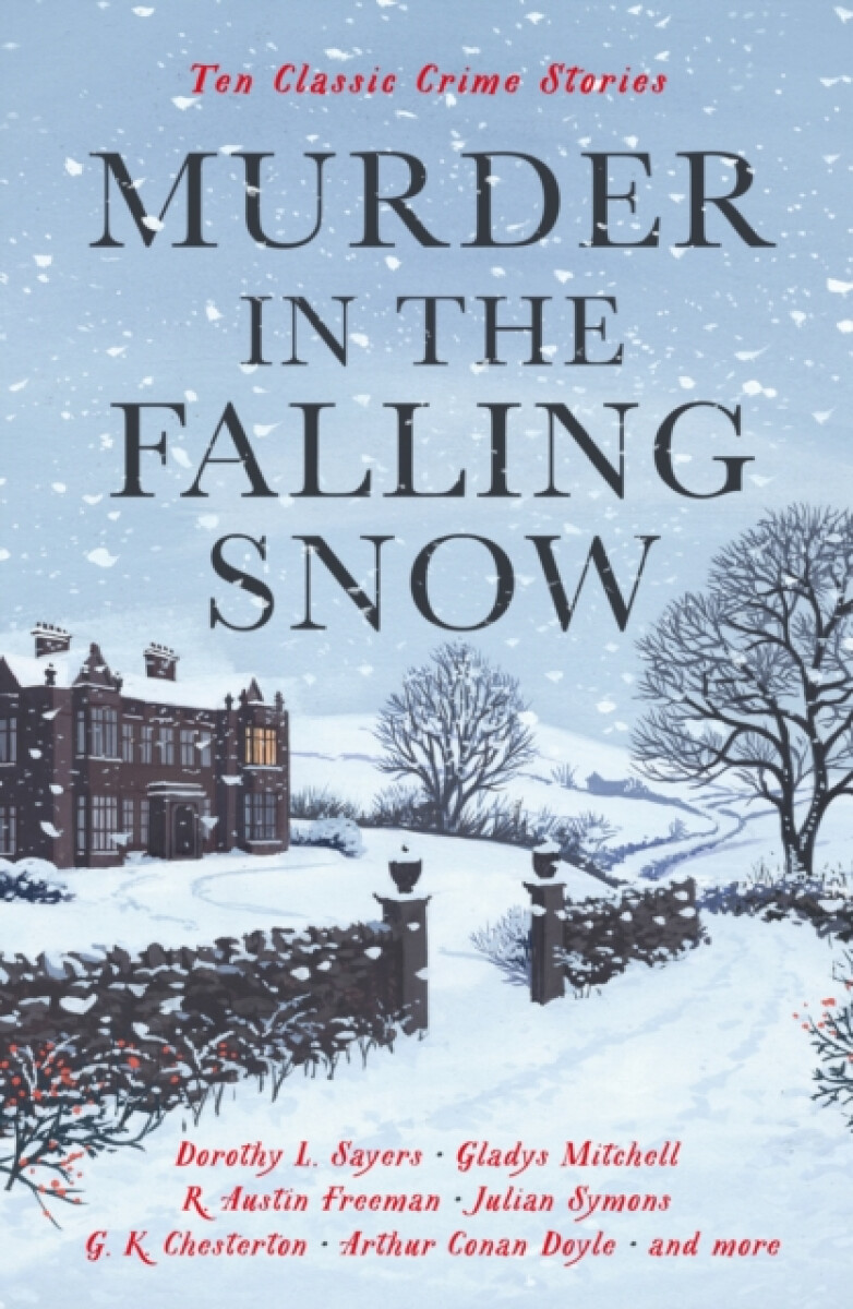 Kniha Murder in the Falling Snow