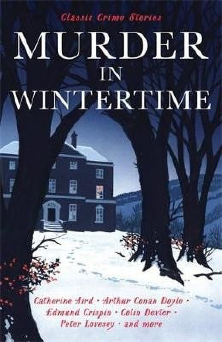 Kniha Murder in Wintertime
