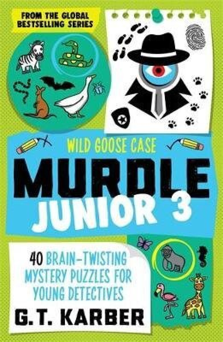 Kniha Murdle Junior 3: Wild Goose Case