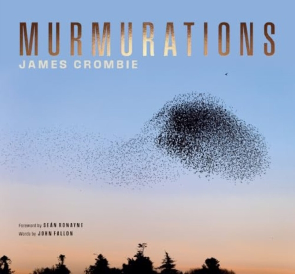 Kniha Murmurations