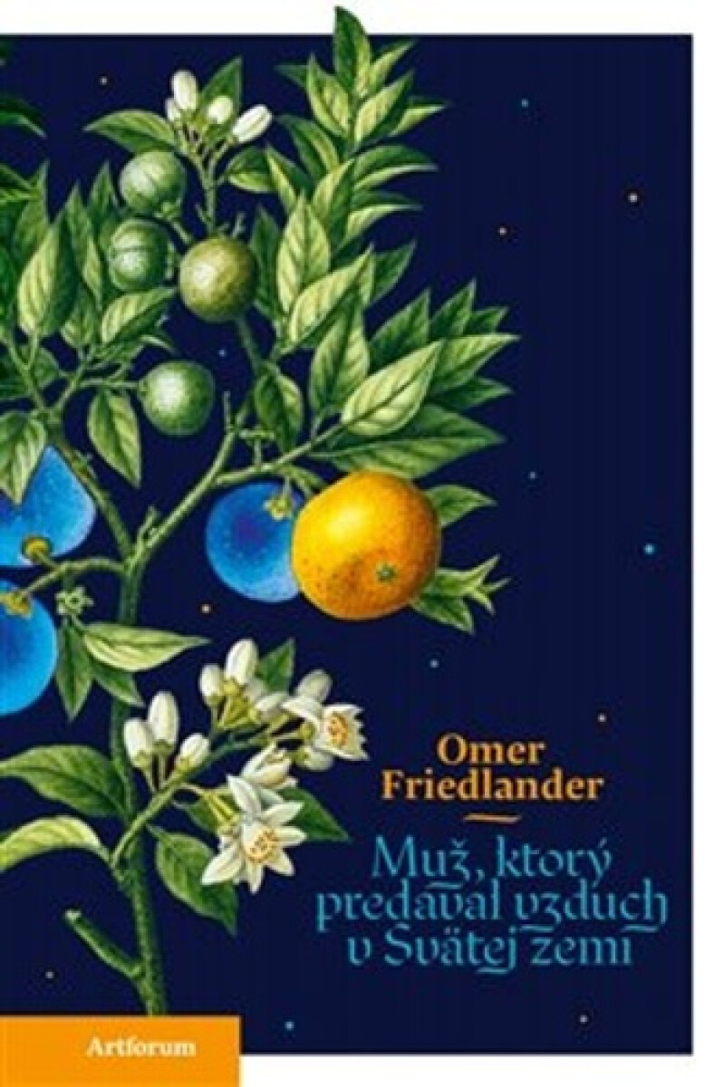 Kniha Muž, ktorý predával vzduch v svätej zemi