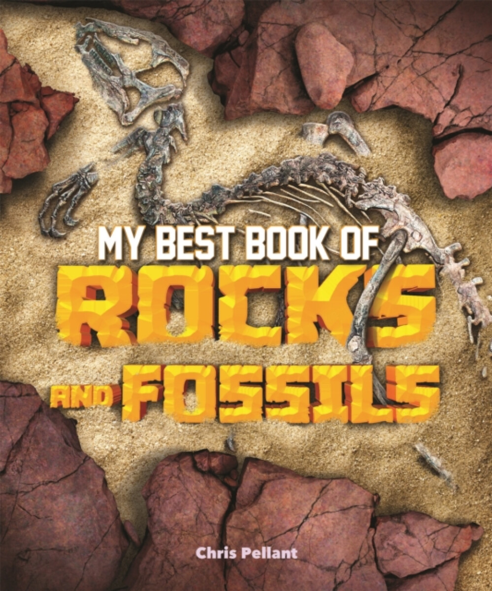 Kniha My Best Book of Rocks and Fossils