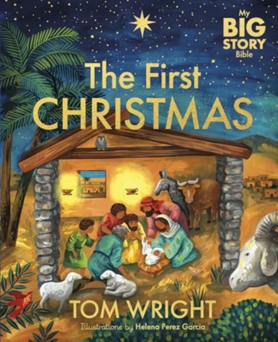 Kniha My Big Story Bible: The First Christmas