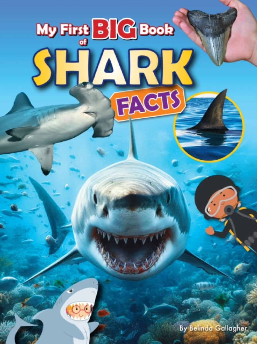 Kniha My First BIG book of SHARK Facts