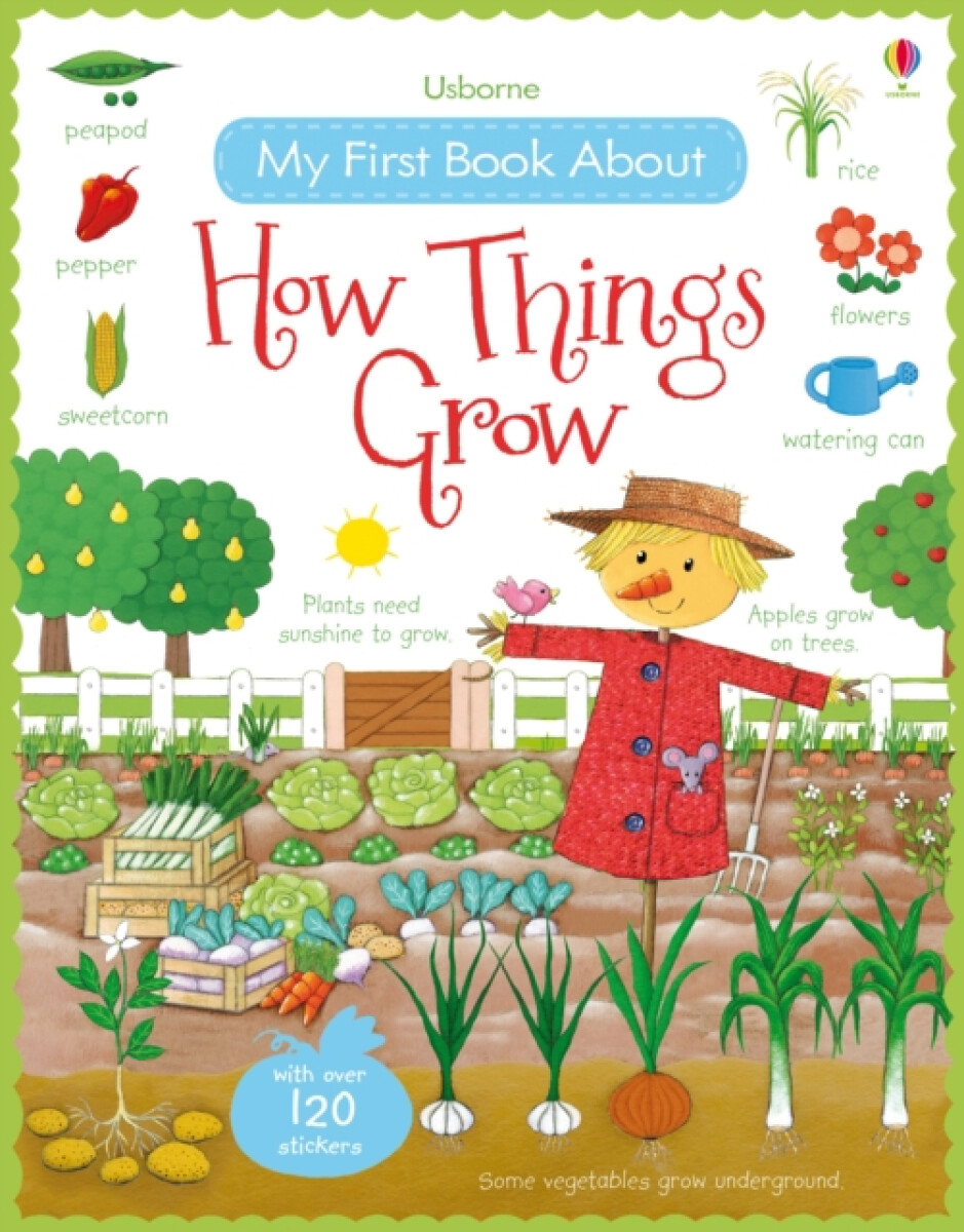 Kniha My First Book About How Things Grow