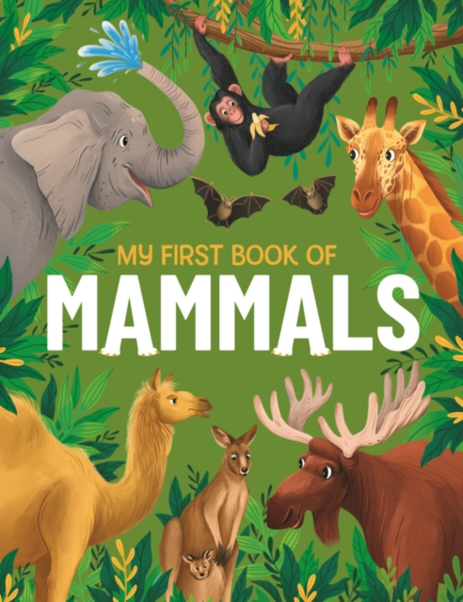 Kniha My First Book of Mammals