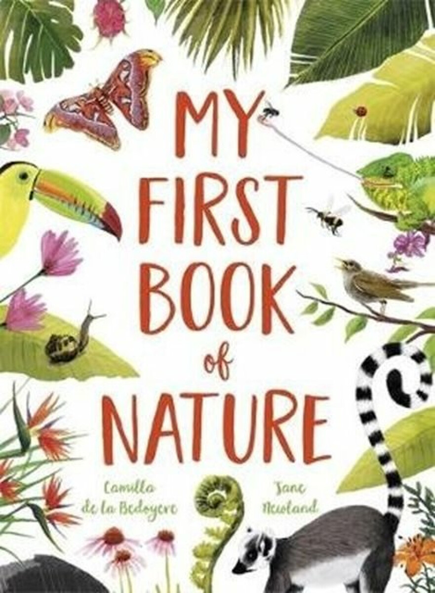 Kniha My First Book of Nature