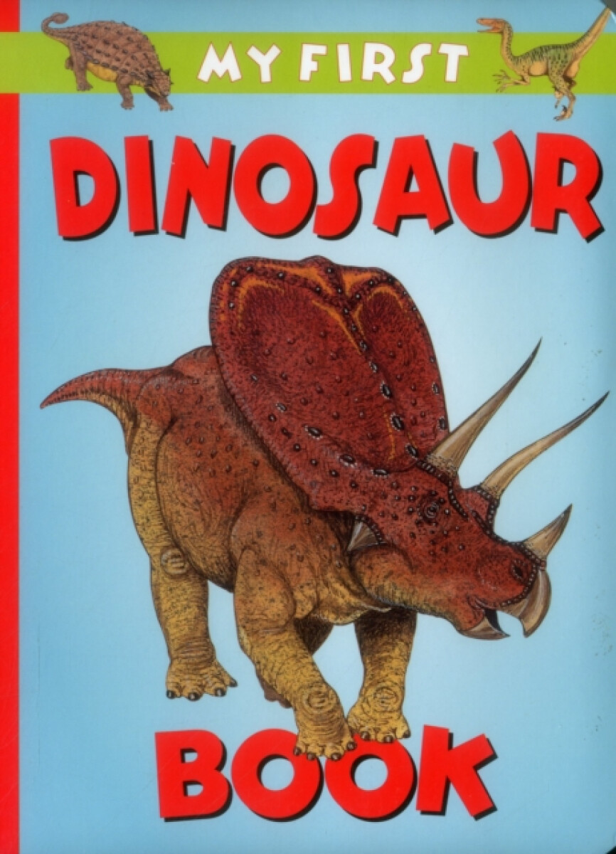 Kniha My First Dinosaur Book
