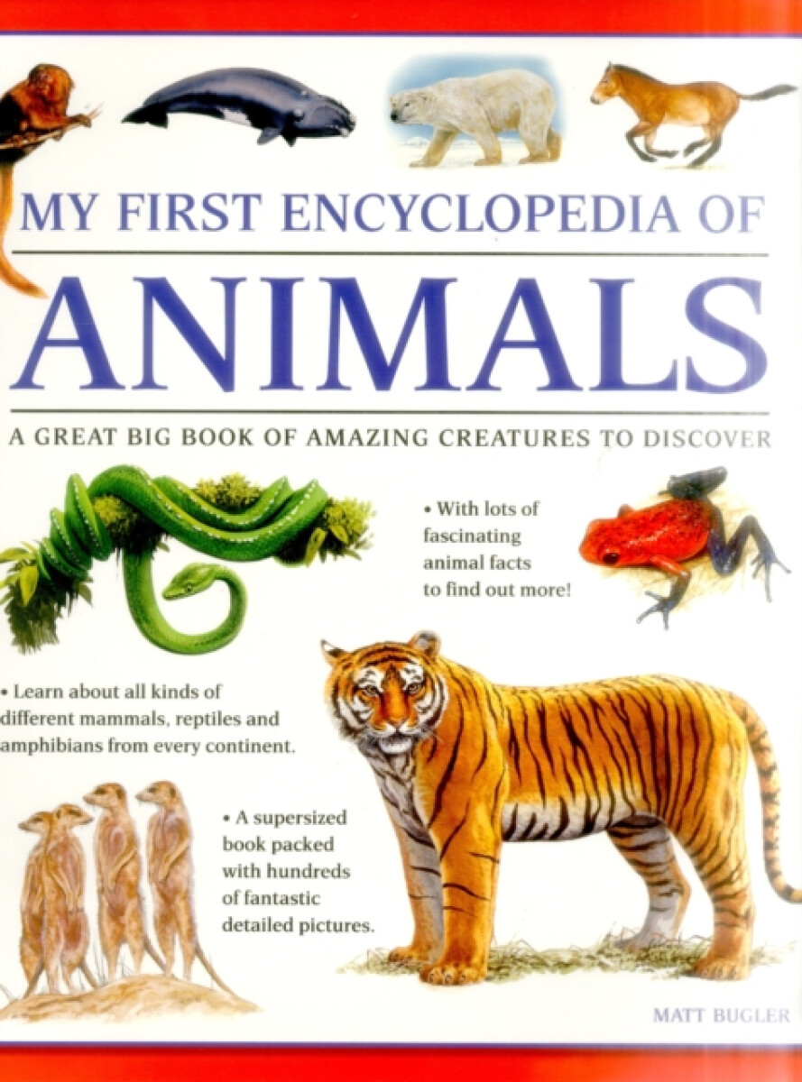 Kniha My First Encyclopedia of Animals (giant Size)