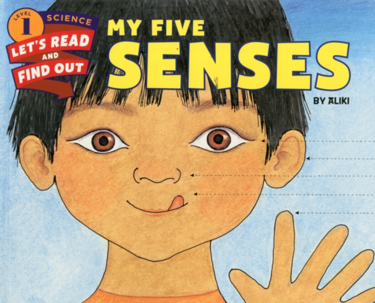 Kniha My Five Senses