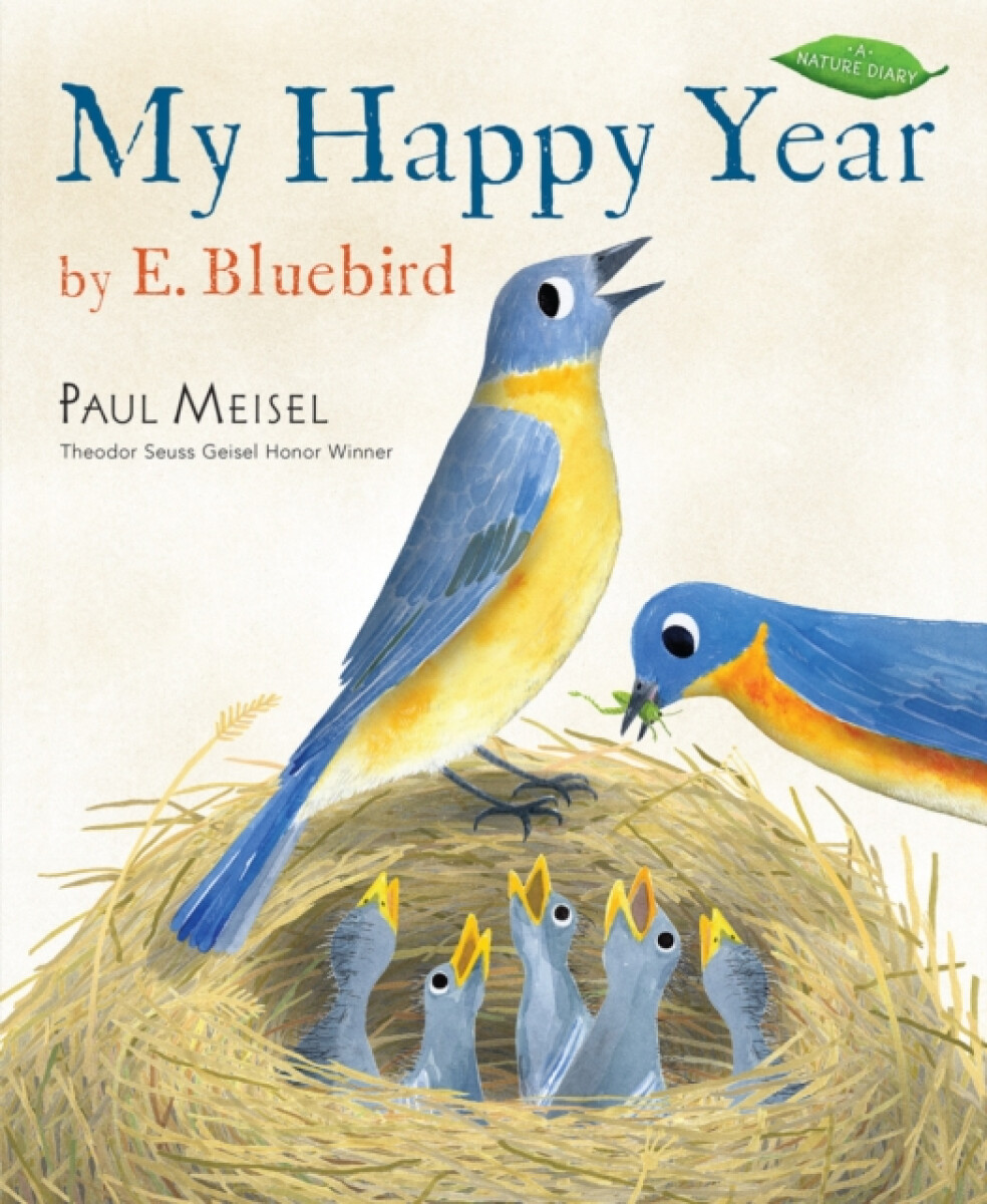 Kniha My Happy Year by E.Bluebird