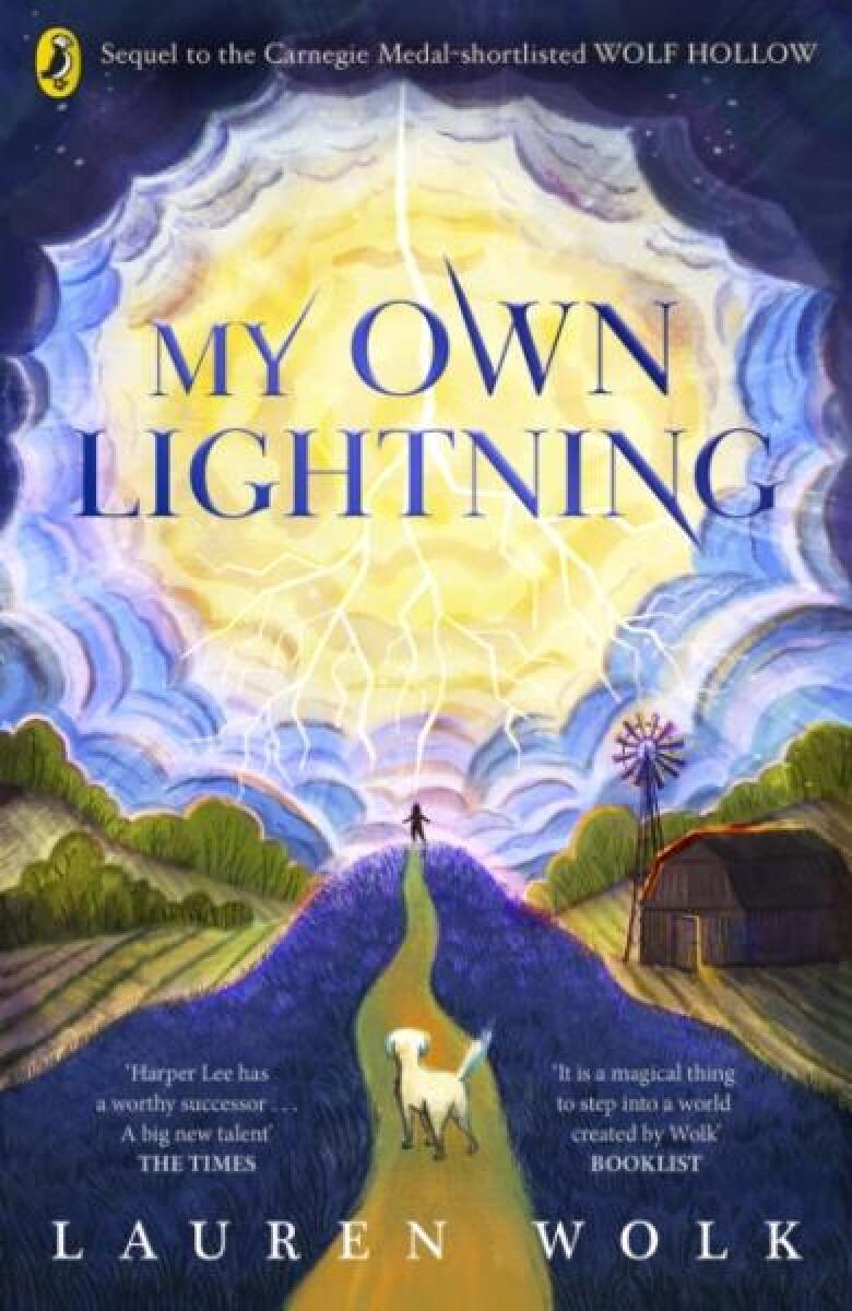 Kniha My Own Lightning