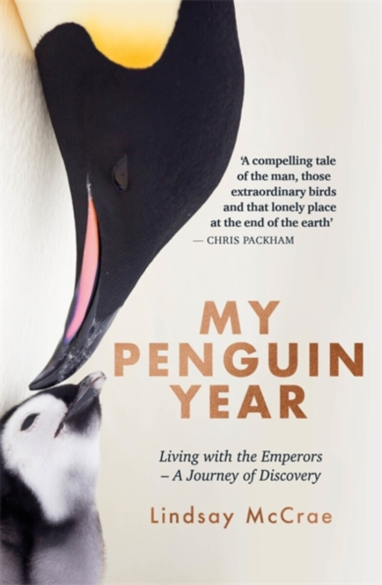 Kniha My Penguin Year