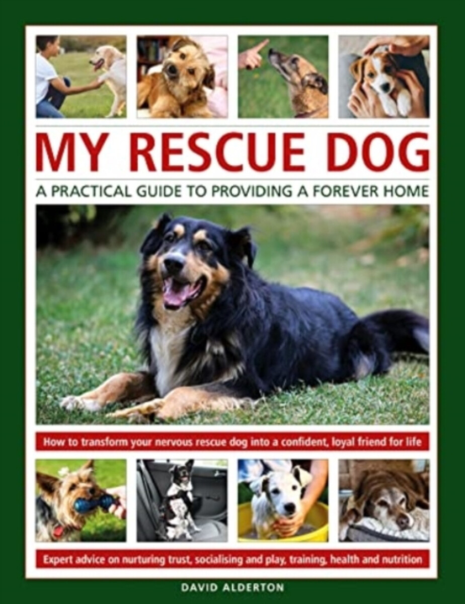 Kniha My Rescue Dog: A practical guide to providing a forever home