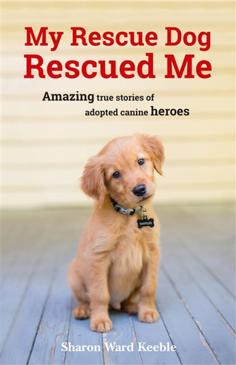 Kniha My Rescue Dog Rescued Me