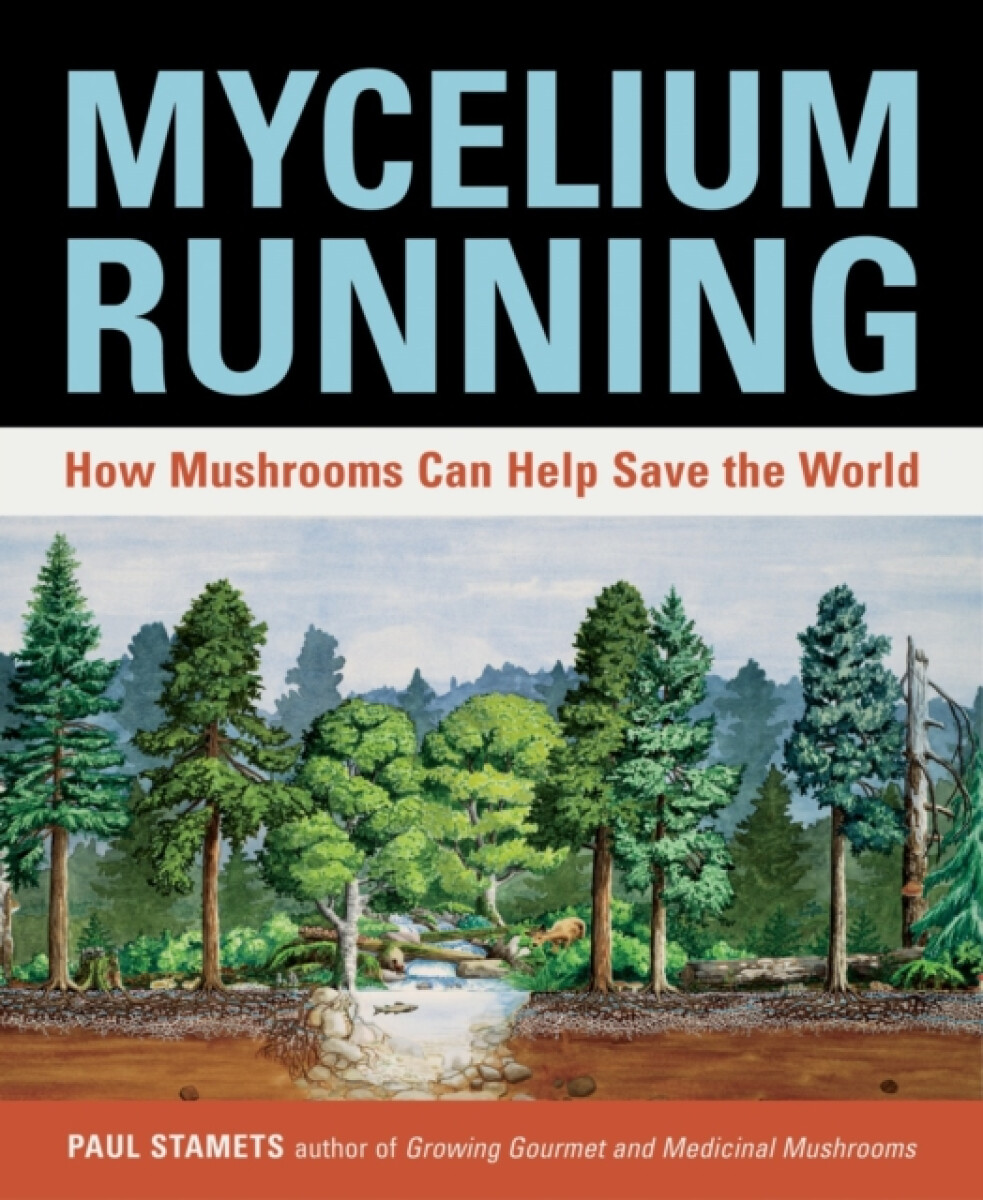 Kniha Mycelium Running