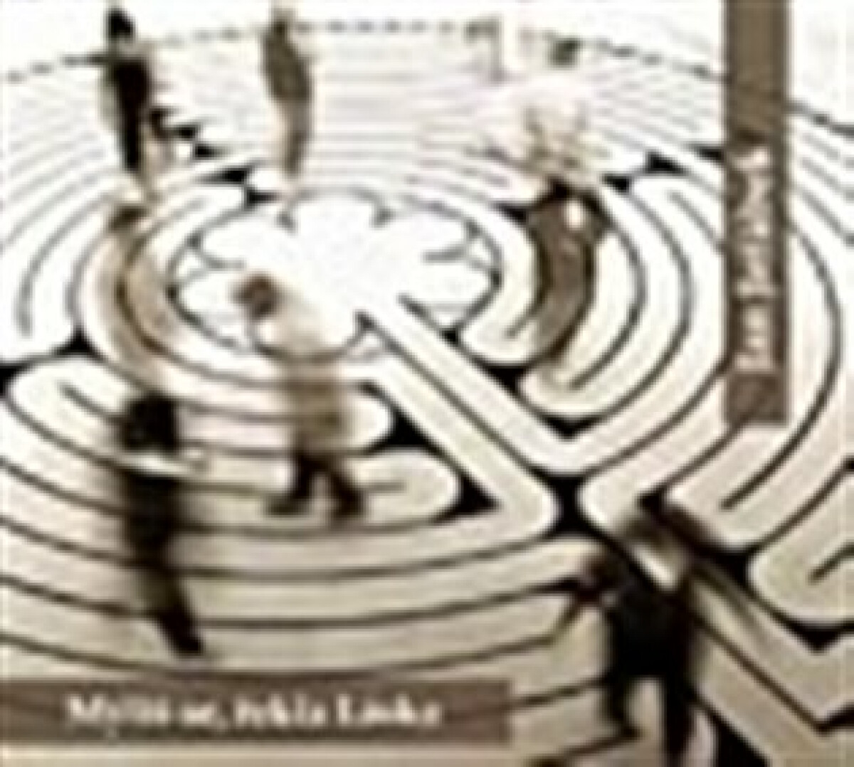 Kniha Mýlíš se, řekla Láska