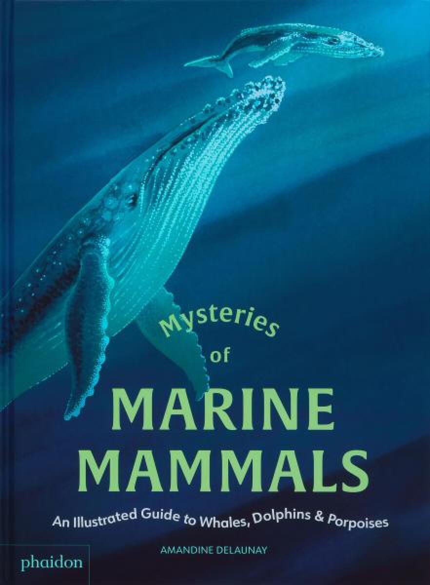 Kniha Mysteries of Marine Mammals